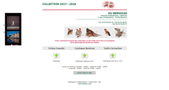 Desktop Screenshot of bernizan.com